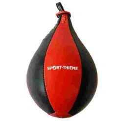 Sport-Thieme Pro Speedball