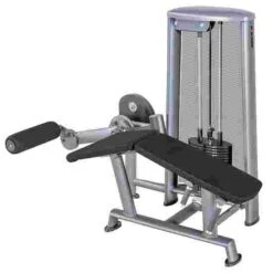 Sport-Thieme "OV" Lying Leg Curl Machine